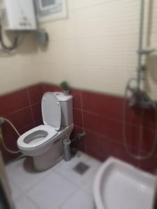 een badkamer met een toilet en een wastafel bij Cozy 15 min to airport 10 to public transport in Caïro