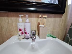 un lavabo con dos botellas de odorizantes. en Refugio cabañas Bosquemar 2, en Queilén