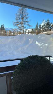 een struik voor een sneeuwbedekte tuin bij Le Bijou in Zermatt