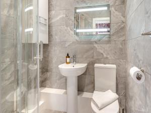 a bathroom with a sink and a toilet and a shower at Rabbit Meadow - Uk46235 in Usk