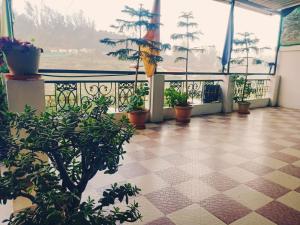 a room with potted plants on a balcony at SNR Cottage & Rooms in Ooty