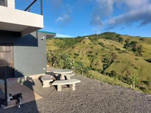 un patio con una mesa de picnic y un perro mirando una colina en Apartamentito moderno con vista en Monteverde, en Cebadilla