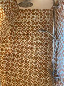 a shower in a bathroom with a tiled wall at Schleimöwe in Borgwedel