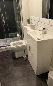 a bathroom with a toilet and a sink and a shower at Poplar House-2Bedroom house in town centre with free Parking by ShortStays4U in King's Lynn