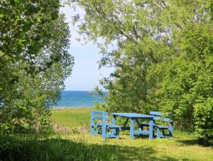 een picknicktafel en stoelen in een veld met uitzicht op de oceaan bij Möve Aba Appartment 11 in Rerik