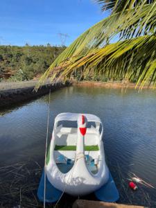 a small boat in the water next to a palm tree at Khu Du lịch Nông trại Hải Đăng trên núi in Gia Nghĩa