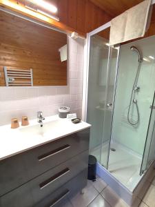 Lignairolles的住宿－Les pieds en éventail，一间带水槽和淋浴的浴室