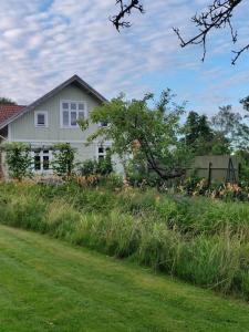 una casa blanca con un campo de hierba y flores en Villa Åmmeberg en Åmmeberg