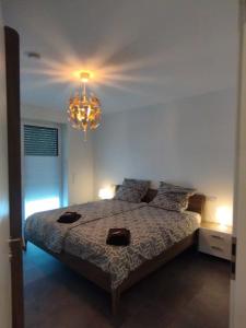 1 dormitorio con cama y lámpara de araña en Wohnung in Werne, en Werne an der Lippe