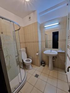 a bathroom with a toilet and a sink and a shower at Pensiunea Hanul Dorului in Drumu Carului