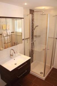 a bathroom with a shower and a sink and a showerspective at Haus Hildegard in Zwiesel