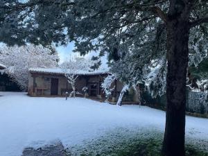 une maison recouverte de neige à côté d'un arbre dans l'établissement Chalet con piscina climatizada., 