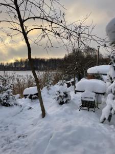 um quintal coberto de neve com dois bancos e uma árvore em Dzintarkrasts em Jūrmala