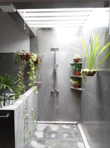 a bathroom with a shower with plants on the wall at Antique Villa in Ranna