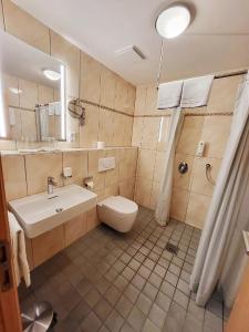een badkamer met een wastafel, een toilet en een douche bij Witikohof in Haidmühle