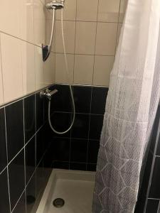 eine Dusche mit einem weißen Duschvorhang im Bad in der Unterkunft Le 24 carat appartement 3 pièces neuf in Beaurepaire