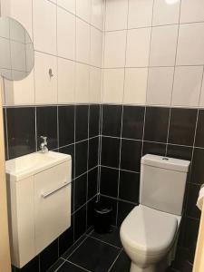uma casa de banho com um WC branco e um lavatório. em Le 24 carat appartement 3 pièces neuf em Beaurepaire