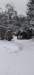 a snow covered field with trees in the background at Gościniec Śliwkowy Sad in Międzylesie