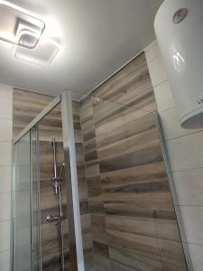 bagno con doccia e porta in vetro di Apartma MB center a Maribor