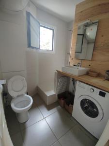 a bathroom with a toilet and a sink and a washing machine at Appartement T3 50m² - 6 pers. - Barcelonnette in Barcelonnette