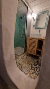 ein Bad mit einer Dusche, einem Waschbecken und einem Spiegel in der Unterkunft "Le Petit Breuil" near Saintes in Les Essards