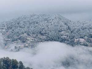 una montaña cubierta de árboles y una ciudad en la niebla en Staynest Mashobra with balcony- A peacefull stay en Shimla