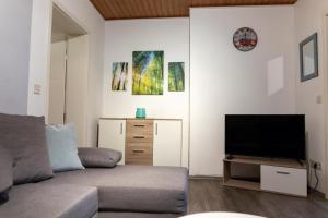 ein Wohnzimmer mit Couch und Flachbildfernseher in der Unterkunft NEU! Reiterhof Finkenmühle Fewo Sancho mit Kamin in Weißenstadt