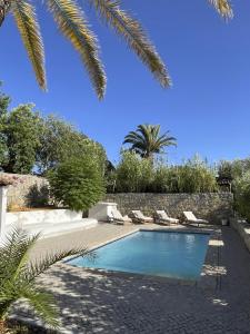 basen w ogrodzie z palmą w obiekcie Casa Estrela w mieście Loulé