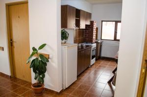 O bucătărie sau chicinetă la Casa Frida +24 fotografii