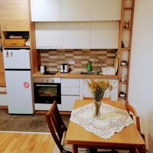 Kuchyň nebo kuchyňský kout v ubytování Apartman Kuzmanović