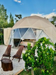 a dome tent with two chairs and a tree stump at Entre racimos, glamping entre viñedos in Ciudad Lujan de Cuyo
