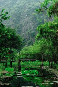 Imagen de la galería de Chez Beo Homestay, en Ninh Binh