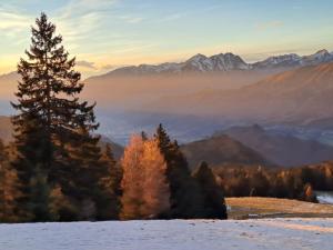 ein Baum auf einem verschneiten Hügel mit Bergen im Hintergrund in der Unterkunft 181 - Casa Arcobaleno tra le Alpi, Piste da sci a 15 minuti in Castione della Presolana