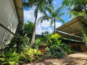 a tropical garden with palm trees and a building at Livingstone Lodge in Victoria Falls