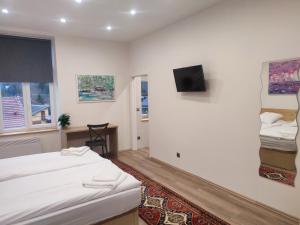 Pokój z dwoma łóżkami i telewizorem na ścianie w obiekcie Frejstejn House, Artist's Residence w mieście Podhradí nad Dyjí