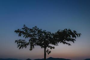 Paesaggio naturale nelle vicinanze della villa