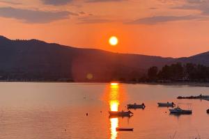 Paesaggio naturale nelle vicinanze della villa