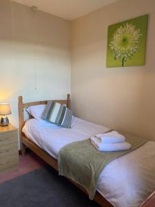 a bedroom with two beds and a table with a lamp at Sunnyside hottub Brecon Beacons sleeps 8 in Lower Chapel