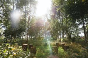 Giardino di Glamping in Småland