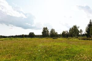 Paesaggio naturale nelle vicinanze di questo campeggio di lusso