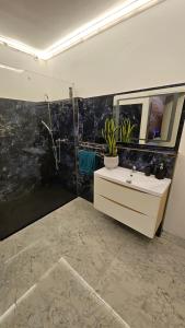 une salle de bain avec un lavabo et un miroir dans l'établissement Haus (1. Etage+DG) mit Garten, à Passendorf