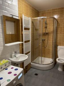 Apartmani za radnike Stupno tesisinde bir banyo