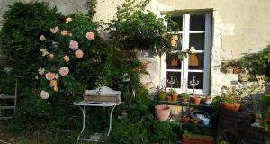 a garden with flowers and a window and a table at Loge & Broc in La Possonnière
