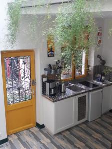 a kitchen with a counter and a yellow door at Le nichoir aux oiseaux avec Parking in Paris