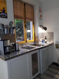 a kitchen counter with a sink and two windows at Le nichoir aux oiseaux avec Parking in Paris