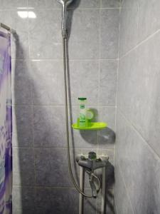 y baño con ducha y estante verde. en A cozy bedsit!, en Tashkent