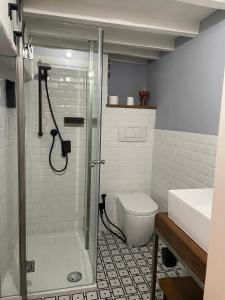 a bathroom with a shower and a toilet at La Stanza dei Citti-Martino in Arezzo