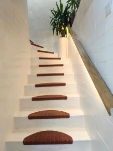 a stairway with white steps and a plant at Penzion U Ježů - Ubytování in Pasohlávky