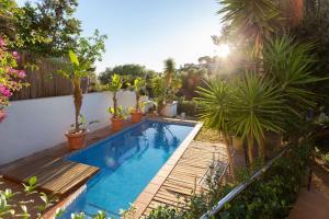 een zwembad in een tuin met potplanten bij Villa Paraíso in Castelldefels