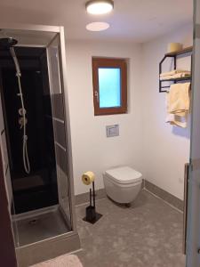 een badkamer met een douche, een toilet en een raam bij Haus Gratz in Bach